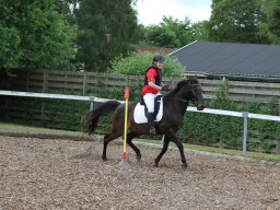 img_4460_web
